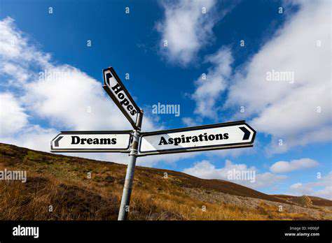 FutureOutlookandAspirations