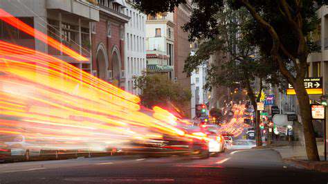 San Jose Spotlight: Tech, Culture & Local Innovations in the Bay Area