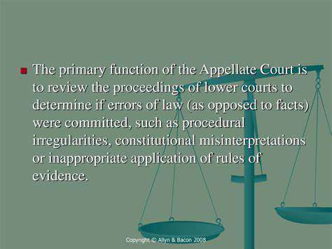 TheLegalFrameworkandProceduralIrregularities