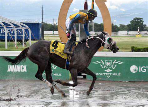 RaceDayRecap:ALookataRecentChaseElliottPerformance