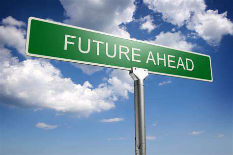 LookingAheadtotheFuture